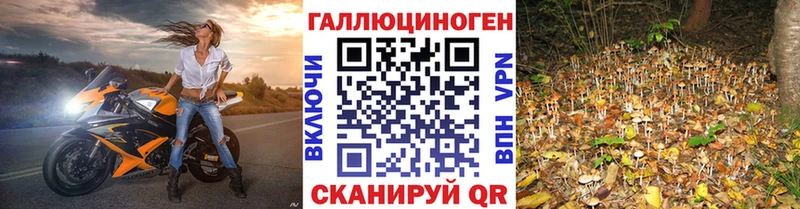 Псилоцибиновые грибы Magic Shrooms  Грязи 
