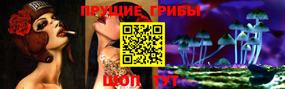 Псилоцибиновые грибы MAGIC MUSHROOMS  Вход с VPN  Псилоцибиновые грибы Cubensis  Грязи 